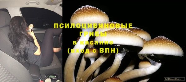 тгк Аркадак