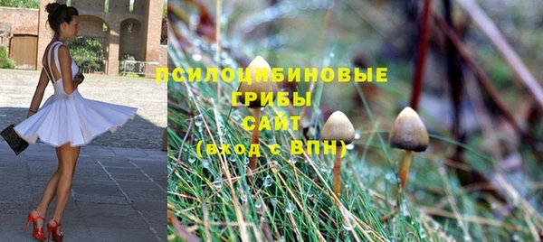хмурый Балахна